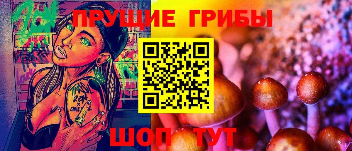 Псилоцибиновые грибы прущие грибы  Вход с VPN  Галлюциногенные грибы прущие грибы  Новотроицк 